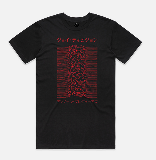 Unknown Pleasures – Neu interpretiert